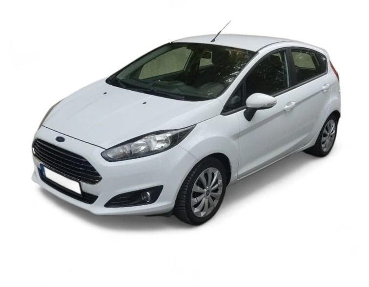 Ford Fiesta Site